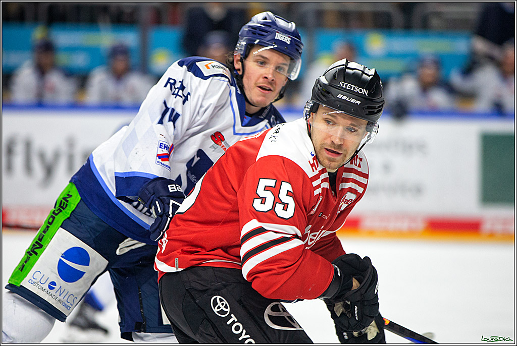 PENNY DEL; Koelner Haie- Straubing Tigers; Koeln, 28.12.2022